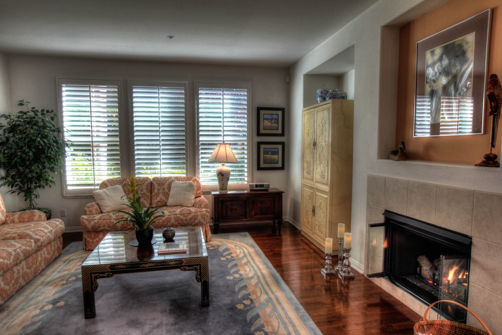 Raleigh Real Estate Living Room 1